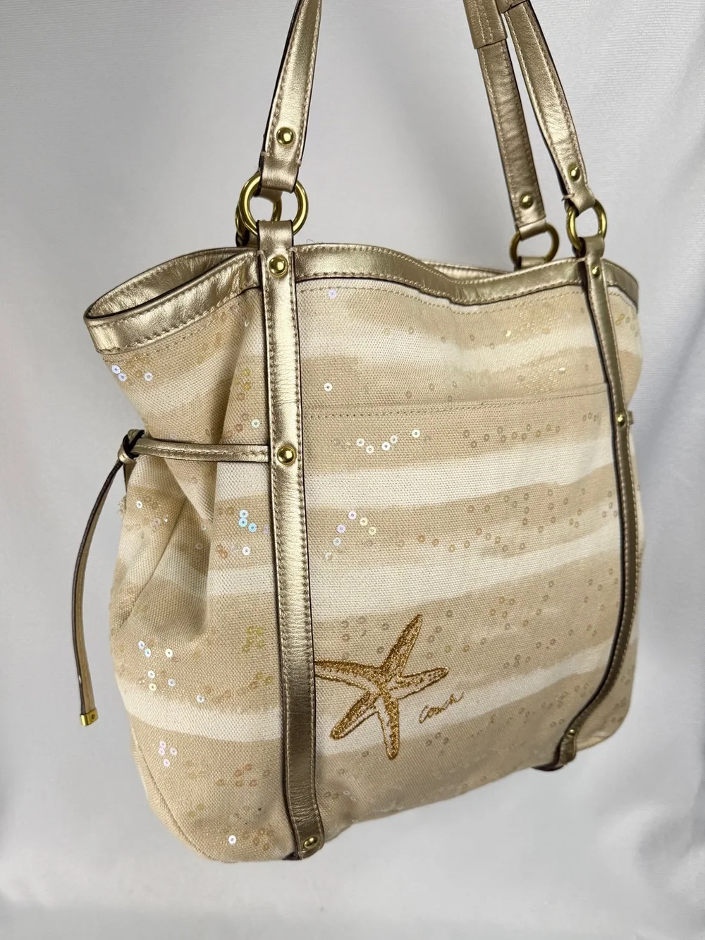 Coach Audrey Sun Limited Edition Shoulder Bag (19577)
